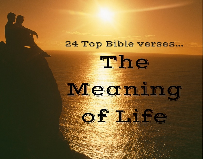 What Is The Meaning Of Life Bible Verses