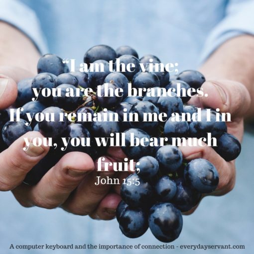 i-am-the-vine-you-are-the-branches-if-you-remain-in-me-and-i-in-you-you ...